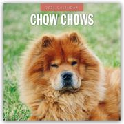 Chow Chows - Chow Chow 2025 - 16-Monatskalender  9781804424483
