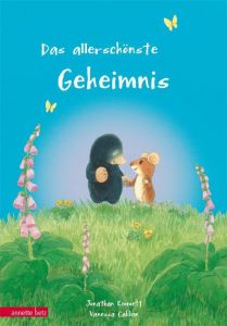 Das allerschönste Geheimnis Emmett, Jonathan 9783219115413