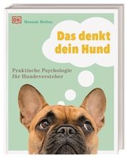 Das denkt dein Hund Molloy, Hannah 9783831041855