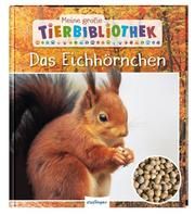 Das Eichhörnchen Ledu-Frattini, Stéphanie 9783480236558