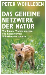 Das geheime Netzwerk der Natur Wohlleben, Peter 9783453280960