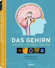 Das Gehirn Ashwell, Ken 9789463593038