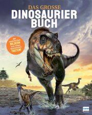 Das große Dinosaurierbuch Martin, Claudia 9783741527241