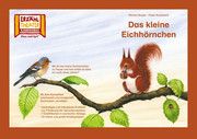 Das kleine Eichhörnchen / Kamishibai Bildkarten Burger, Monika/Kunstreich, Pieter 4260505830489