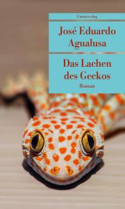 Das Lachen des Geckos Agualusa, José Eduardo 9783293208056