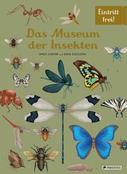 Das Museum der Insekten Goulson, Dave/Carter, Emily 9783791375861