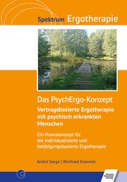 Das PsychErgo-Konzept Sorge, André/Kümmel, Winfried 9783824813186