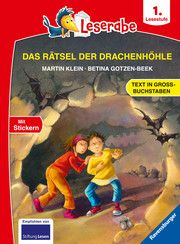 Das Rätsel der Drachenhöhle Klein, Martin 9783473461868