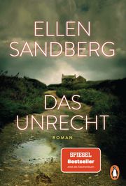 Das Unrecht Sandberg, Ellen 9783328107224