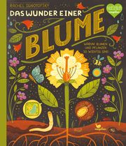 Das Wunder einer Blume Ignotofsky, Rachel 9783734860515