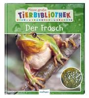 Der Frosch Starosta, Paul 9783480236244