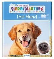 Der Hund Tracqui, Valérie 9783480236268