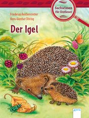 Der Igel Reichenstetter, Friederun 9783401717241