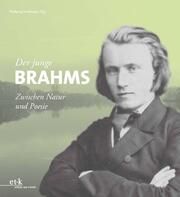 Der junge Brahms Wolfgang Sandberger/Christoph Arta/Stefan Weymar 9783967077759
