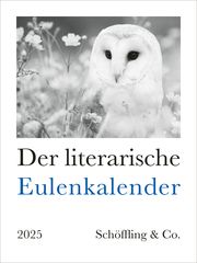 Der literarische Eulenkalender 2025 Bachstein, Julia 9783895617997