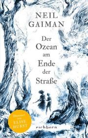 Der Ozean am Ende der Straße Gaiman, Neil 9783847900719