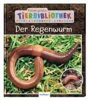 Der Regenwurm Tracqui, Valérie 9783480236237