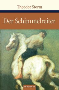 Der Schimmelreiter Storm, Theodor 9783938484739