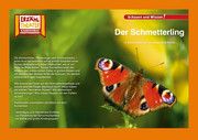 Der Schmetterling / Kamishibai Bildkarten Bischoff, Luzie 4260505830434