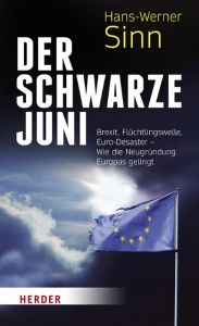 Der Schwarze Juni Sinn, Hans-Werner 9783451377457