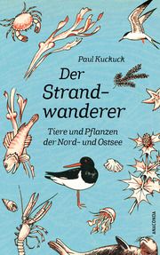 Der Strandwanderer. Tiere und Pflanzen der Nord- und Ostsee Kuckuck, Paul 9783730614303