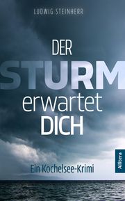 Der Sturm erwartet dich Steinherr, Ludwig 9783962333829