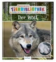 Der Wolf Havard, Christian 9783480236213