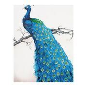 Diamond Painting Blauer Pfau  4897073241074