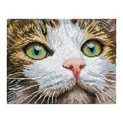 Diamond Painting Katze mit grünen Augen  4895225915057