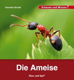 Die Ameise Straaß, Veronika 9783867607698