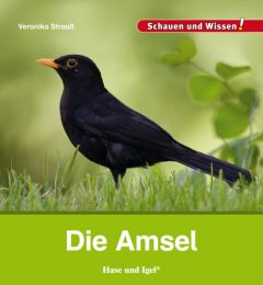 Die Amsel Straaß, Veronika 9783867607643