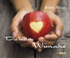 Die besten Wünsche Wilde, Bärbel 9783842946101