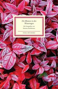 Die Blumen in den Wintertagen Martina Hochheimer 9783458176220