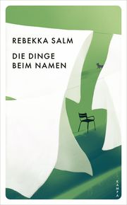 Die Dinge beim Namen Salm, Rebekka 9783311150794