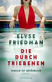 Die Durchtriebenen Friedman, Elyse 9783426284209