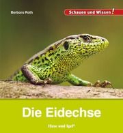 Die Eidechse Rath, Barbara 9783863163693