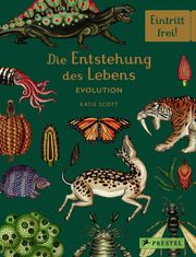 Die Entstehung des Lebens - Evolution Munro, Fiona/Symons, Ruth 9783791373089