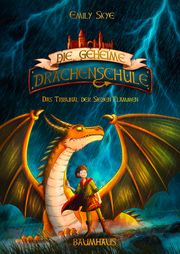 Die geheime Drachenschule - Das Tribunal der Sieben Flammen Skye, Emily 9783833906619