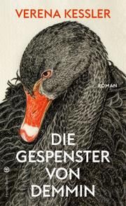 Die Gespenster von Demmin Keßler, Verena 9783446267848