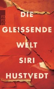 Die gleißende Welt Hustvedt, Siri 9783499268373