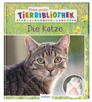 Die Katze Ledu-Frattini, Stéphanie 9783480236596