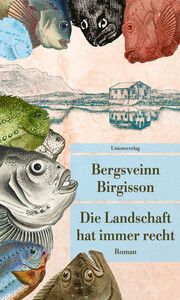 Die Landschaft hat immer recht Birgisson, Bergsveinn 9783293209718