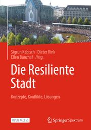 Die Resiliente Stadt Sigrun Kabisch/Dieter Rink/Ellen Banzhaf 9783662669150
