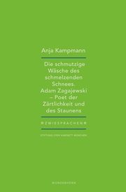 Die schmutzige Wäsche des schmelzenden Schnees Kampmann, Anja 9783884237083