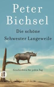 Die schöne Schwester Langeweile Bichsel, Peter 9783458683056