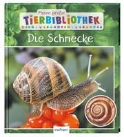 Die Schnecke Starosta, Paul 9783480236589