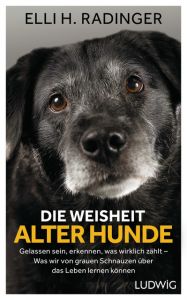 Die Weisheit alter Hunde Radinger, Elli H 9783453281080