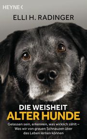 Die Weisheit alter Hunde Radinger, Elli H 9783453605404