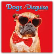 Dogs in Disguise - Verkleidete Hunde - Hunde in Verkleidung 2025 - Wand-Kalender  9781529846348