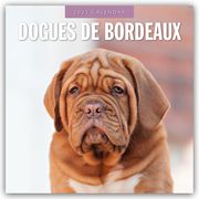 Dogues de Bordeaux - Bordeauxdoggen - Bordeaux Doggen 2025 - 16-Monatskalender  9781804424575